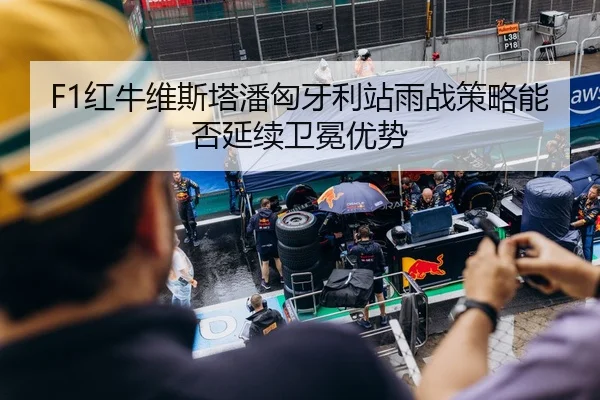 F1红牛维斯塔潘匈牙利站雨战策略能否延续卫冕优势