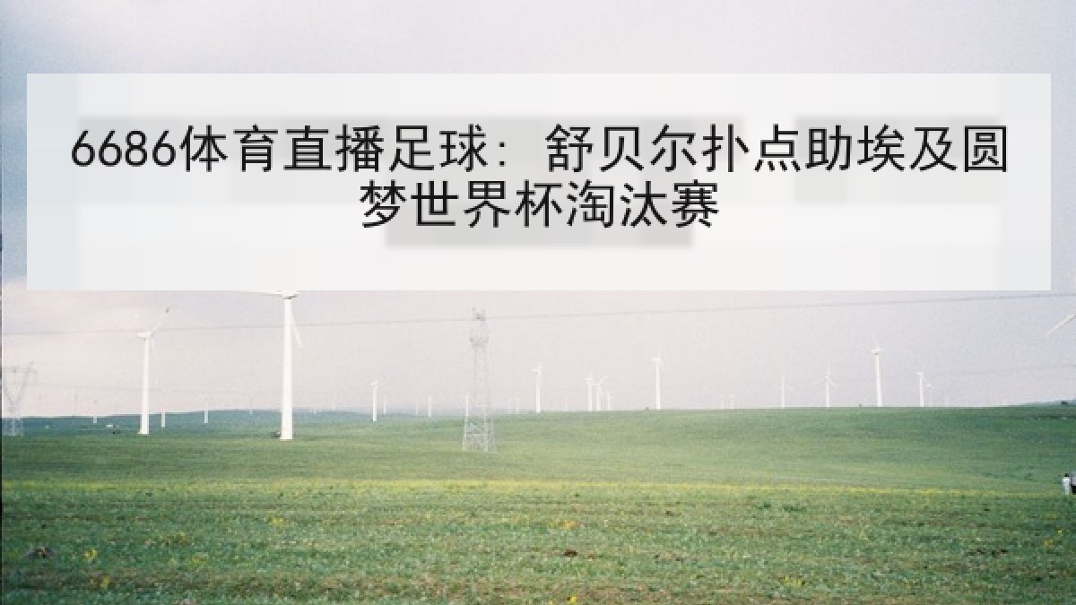 6686体育直播足球: 舒贝尔扑点助埃及圆梦世界杯淘汰赛