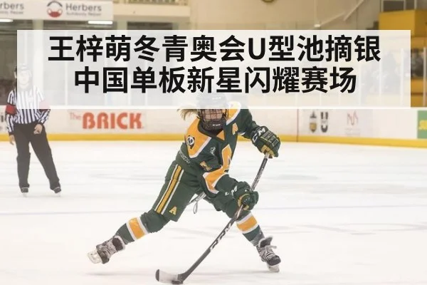 王梓萌冬青奥会U型池摘银 中国单板新星闪耀赛场